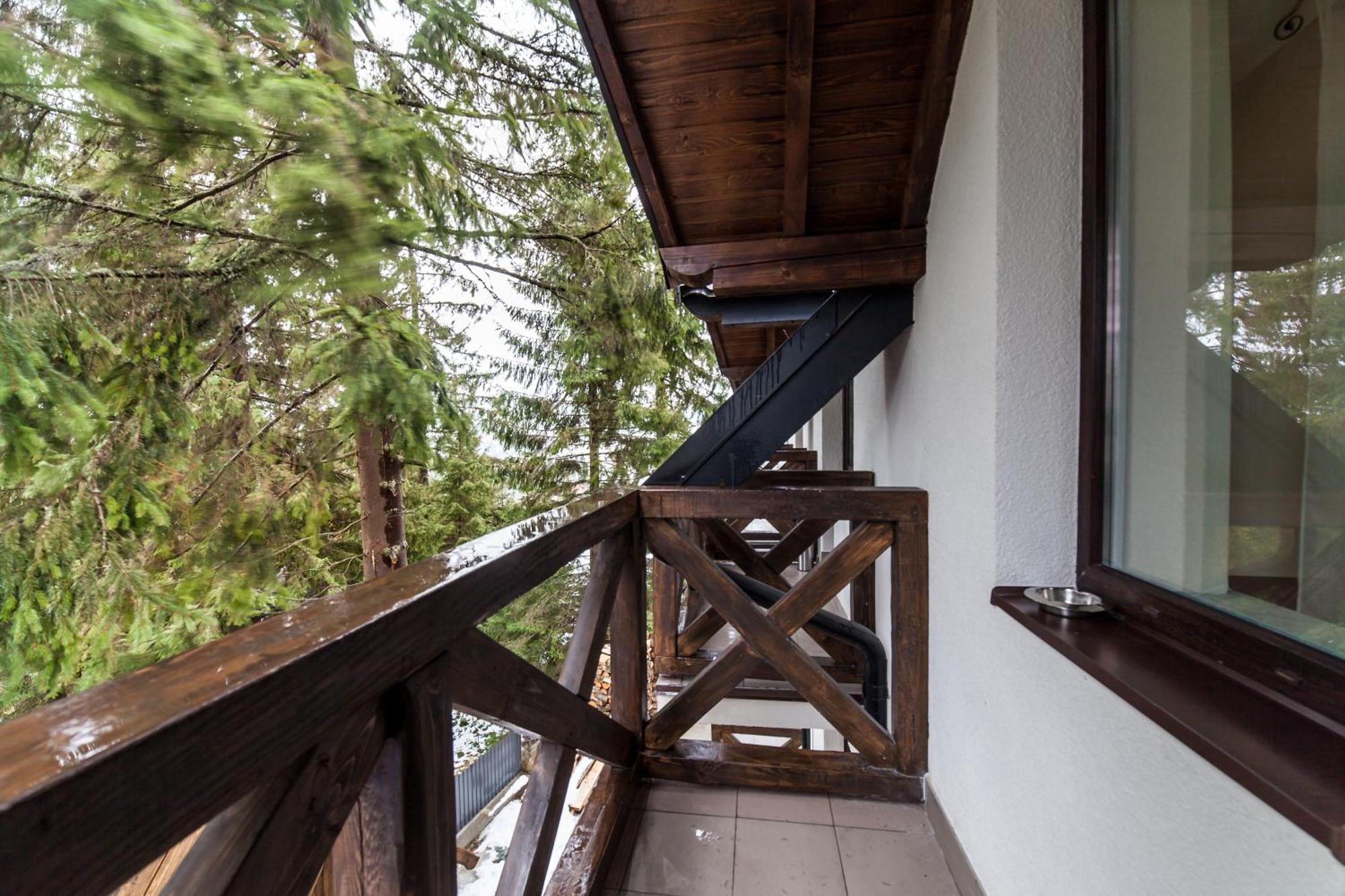 Alpiyskiy Yablunytsya Habitación foto