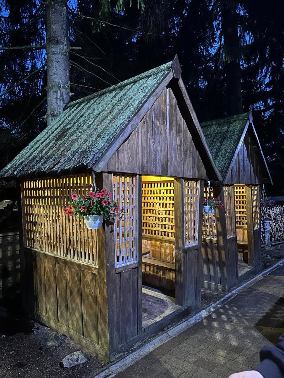 Alpiyskiy Yablunytsya Exterior foto